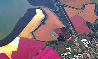 Bay Area Salt Flats Aerial Image