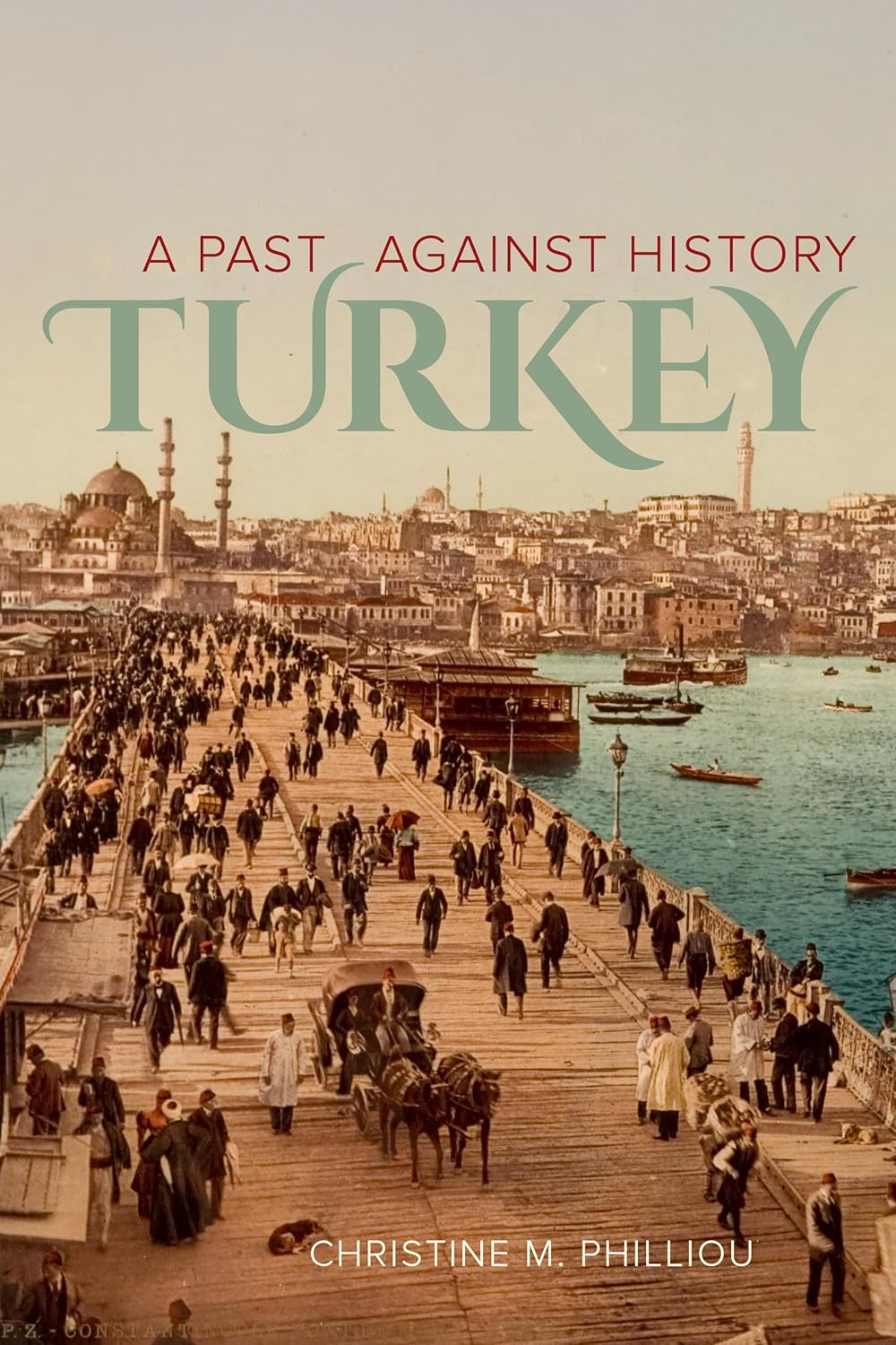 Turkey: A Past Against History Book Cover